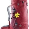 Deuter Futura 28 SL Top Load -Best Luggage Store 223bb3859a232385f44fdbe6cb09b277d9a35ed73dd3dbee2221bb43bbfb3bca