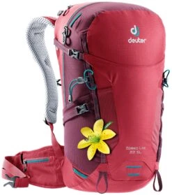 Deuter Speed Lite 22 Hiking Backpack -Best Luggage Store 717324a4958acdcf87151216c9d59f2ae8fa308e5d2a851ff581d9da0a086e11