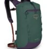 Osprey Packs Daylite Cinch Pack