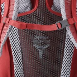 Deuter Futura 26 Hiking Backpack -Best Luggage Store c34719464b7ab462681aa1367e5076b2ad1a7a6259af1fea1881ce11e3b8891b