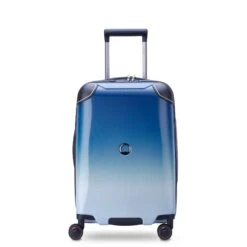 DELSEY Paris Cactus Hardside Luggage With Spinner Wheels